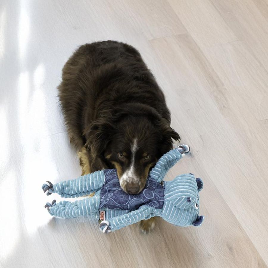 Jouet KONG Floppy Knots Hippo