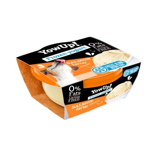 Yaourt glacé au saumon pour chiens