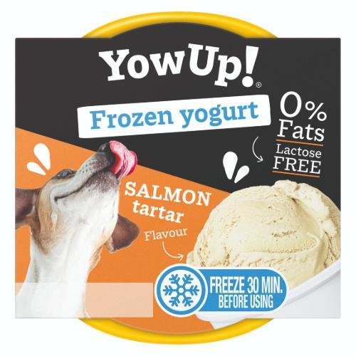 Yaourt glacé au saumon pour chiens