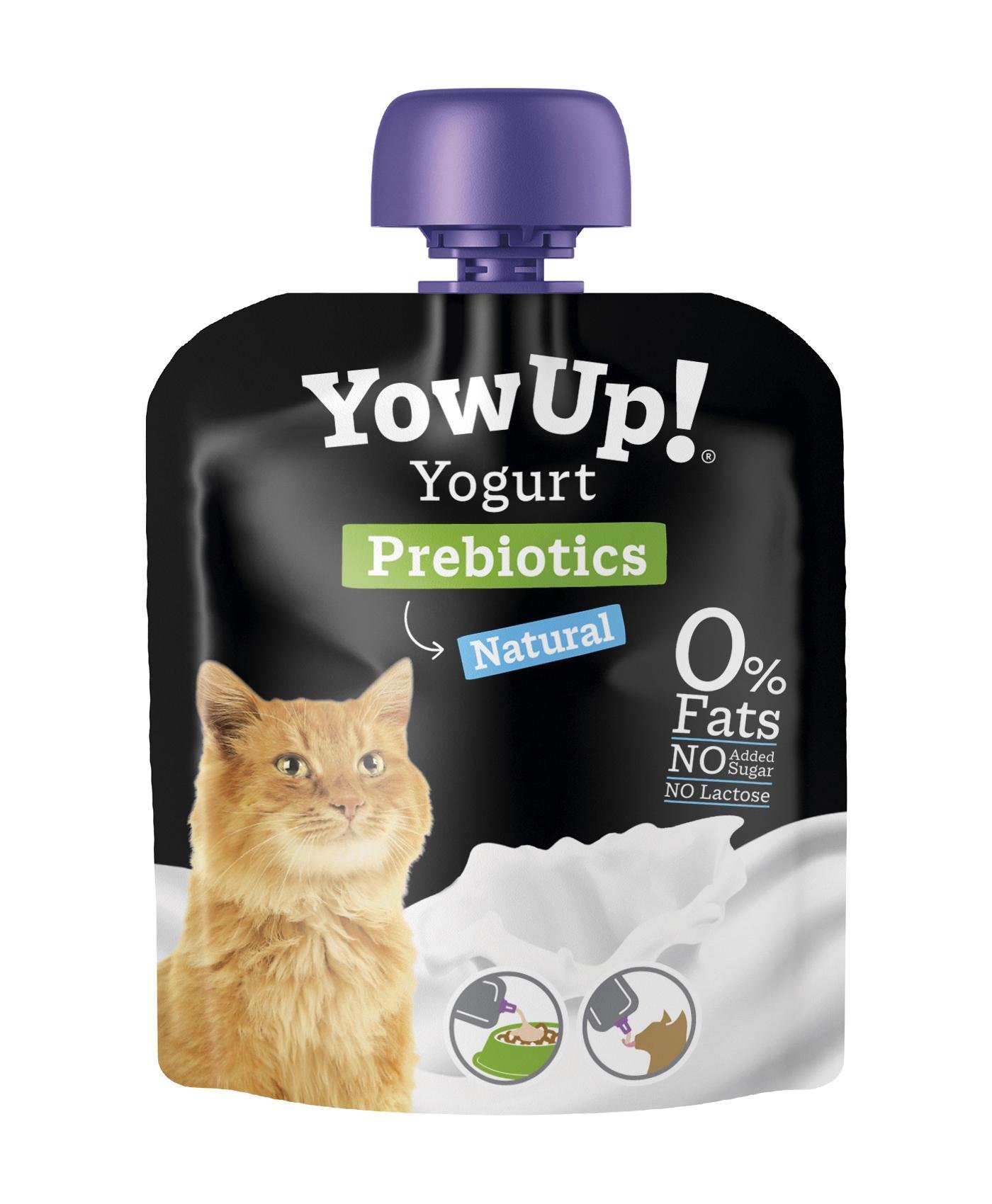 Yaourt Prébiotics pour Chat, digestion et immunité