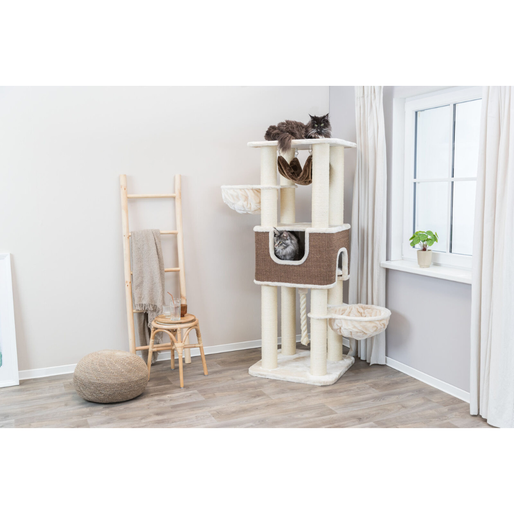 Grand Arbre à chat : hamac, XXL, solide, 174 cm Humberto Beige/Brun foncé
