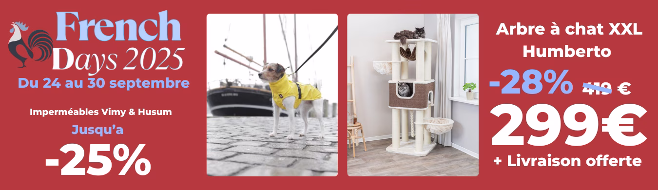 Promotion en cours animalerie en ligne Auberdog
