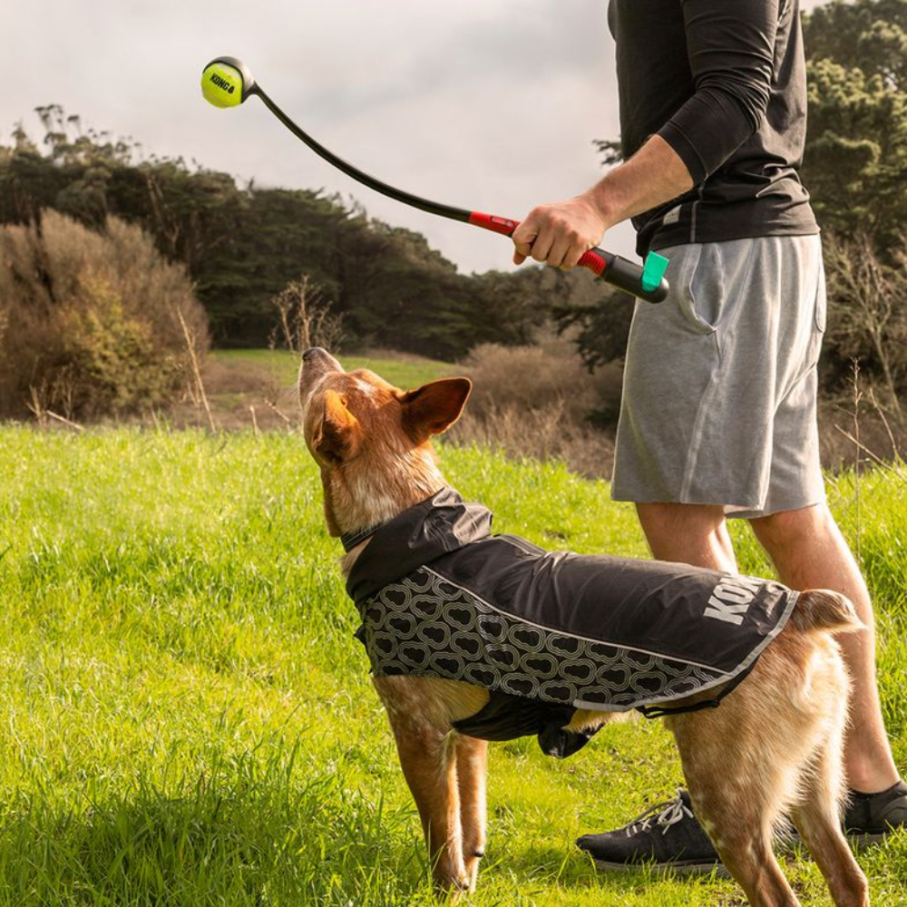 KONG HandiPOD Lanceur de balle + distributeur de sacs