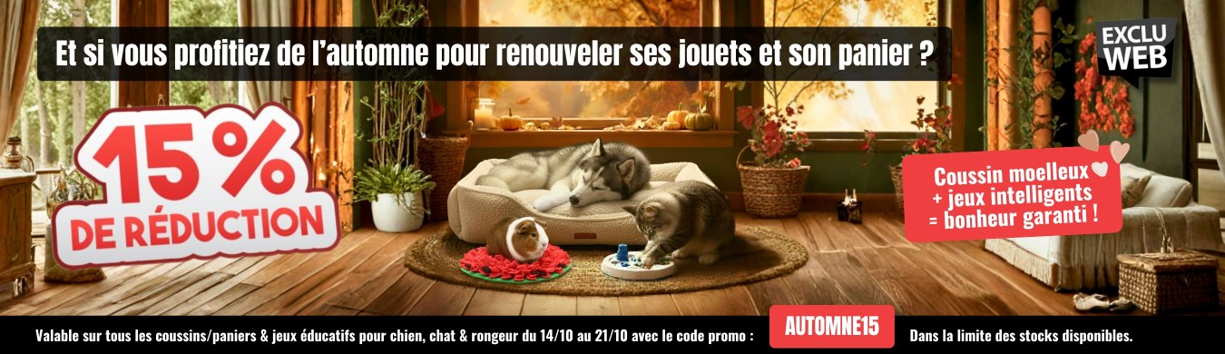 Promotion en cours animalerie en ligne Auberdog