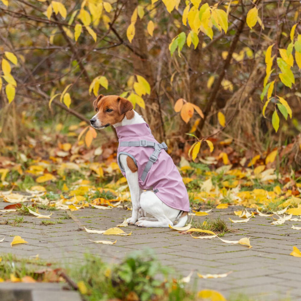 Manteau imperméable pour chien Pontis Rain harnais intégré