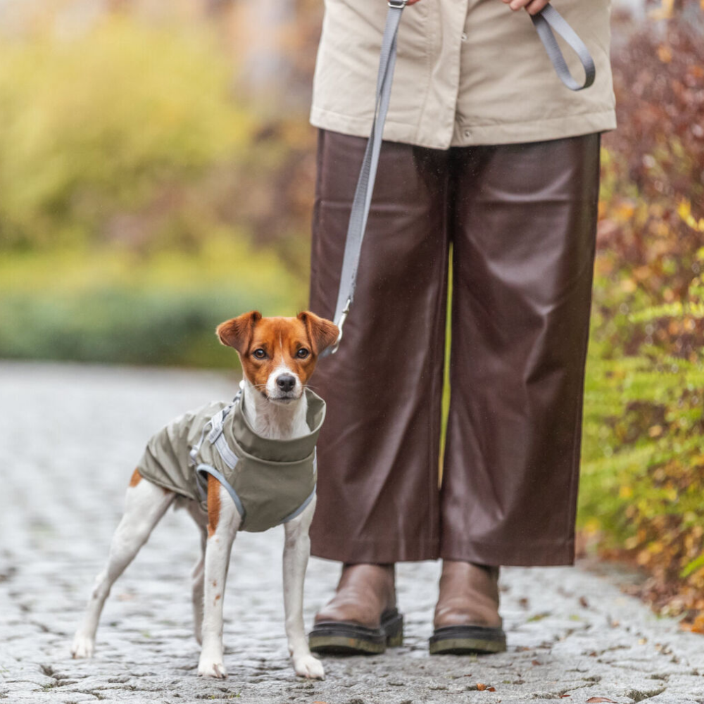 Manteau harnais intégré imperméable pour chien Pontis Rain harnais intégré