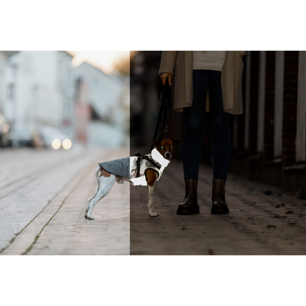Manteau harnais intégré pour chien Pontis Reflect GRIS