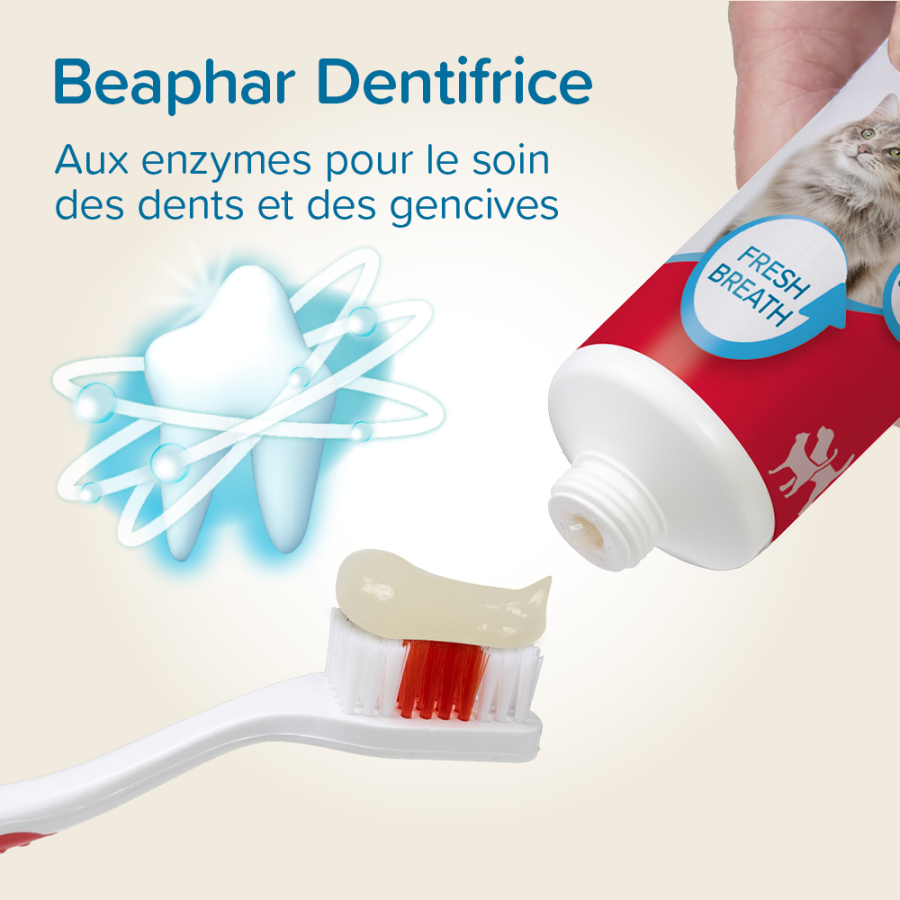 combi-pack-dentifrice-brosse-a-dents.jpg
