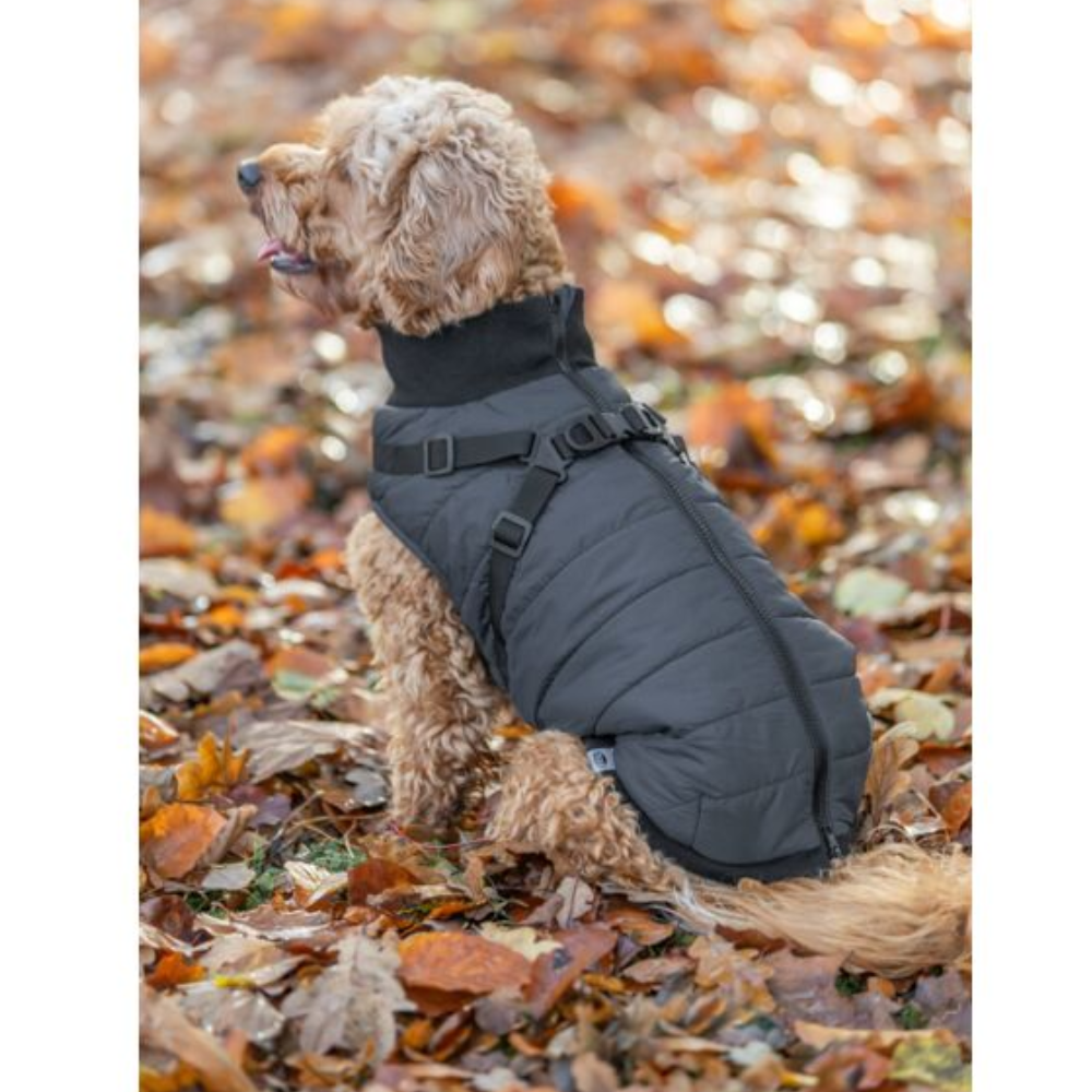 Manteau pour chien harnais intégré Pontis BLEU
