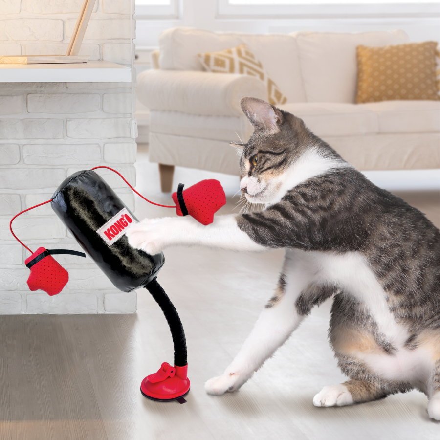 Jouet KONG Connects Punching Bag