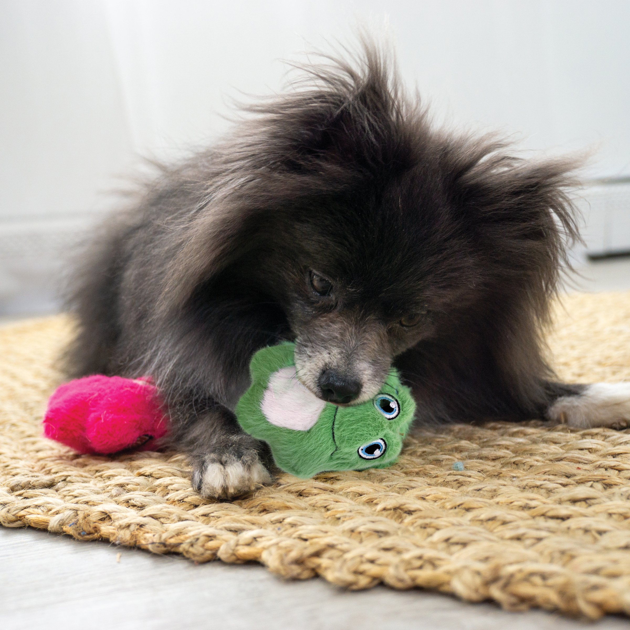 Jouet KONG Snuzzles Minis XS Grenouille