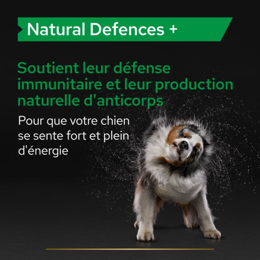Purina Pro Plan Natural Defences+ – Complément alimentaire pour chien