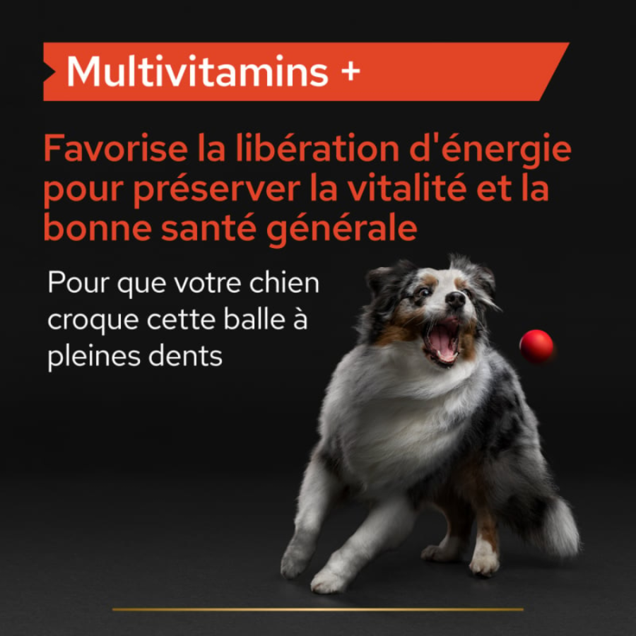 Purina Pro Plan Multivitamins+ – Complément Multivitamines pour Chien Adulte