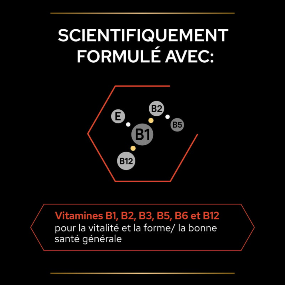 Purina Pro Plan Multivitamins+ – Complément Multivitamines pour Chien Adulte