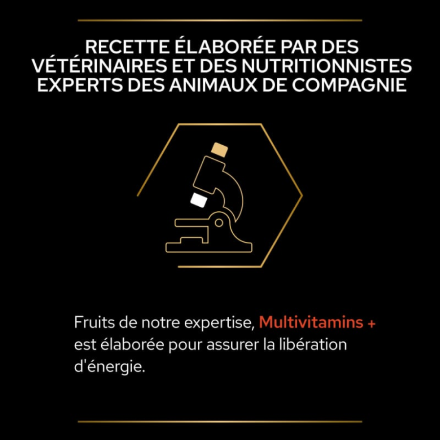 Purina Pro Plan Multivitamins+ – Complément Multivitamines pour Chien Adulte