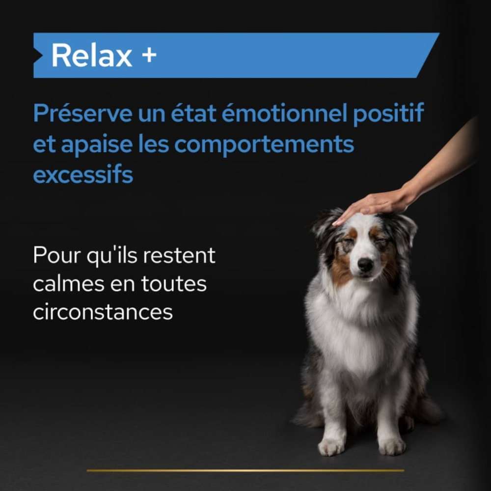 Purina Pro Plan Relax+ – Complément alimentaire calmant pour chiens adultes