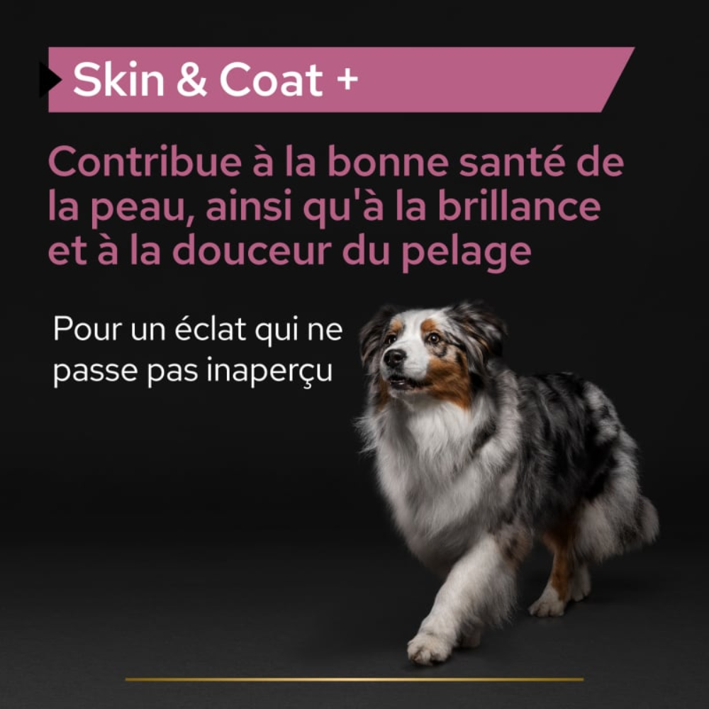 Purina Pro Plan Skin & Coat+ – Complément alimentaire pour peau et pelage