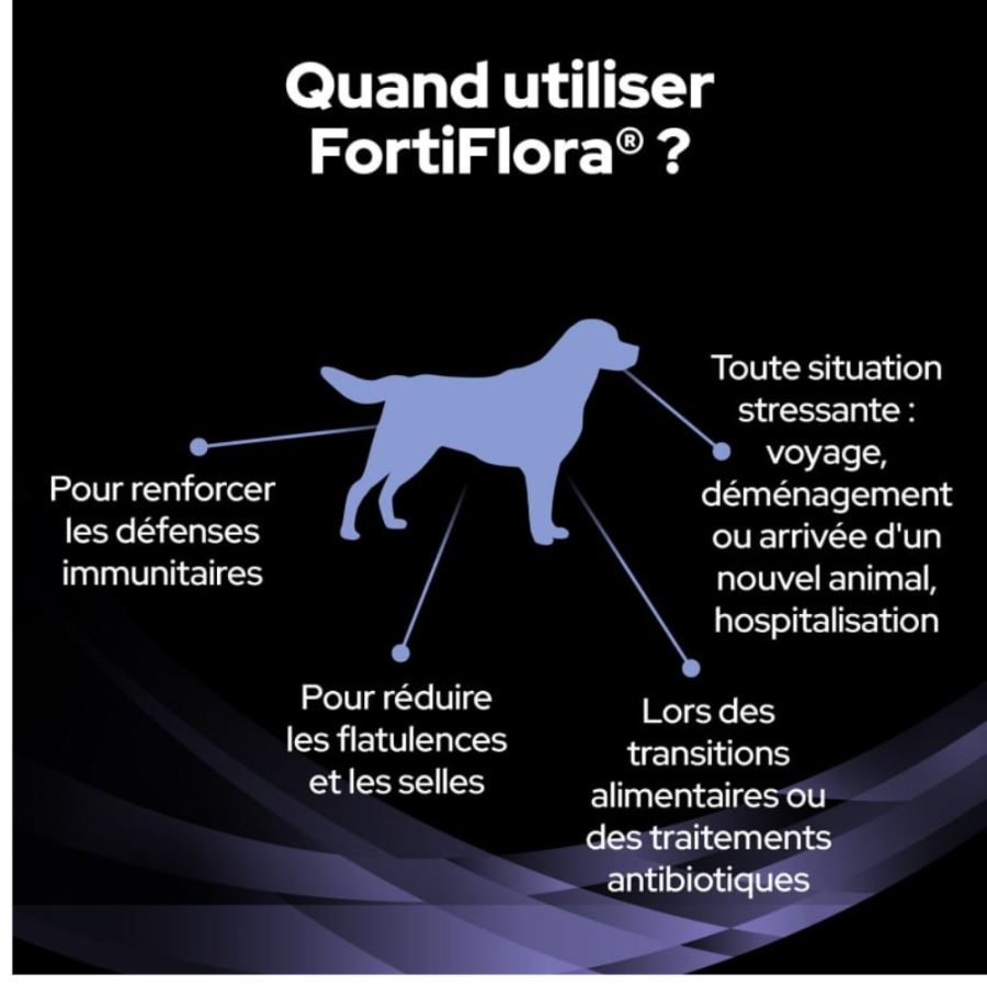 FortiFlora – Complément probiotique en sachets pour chien