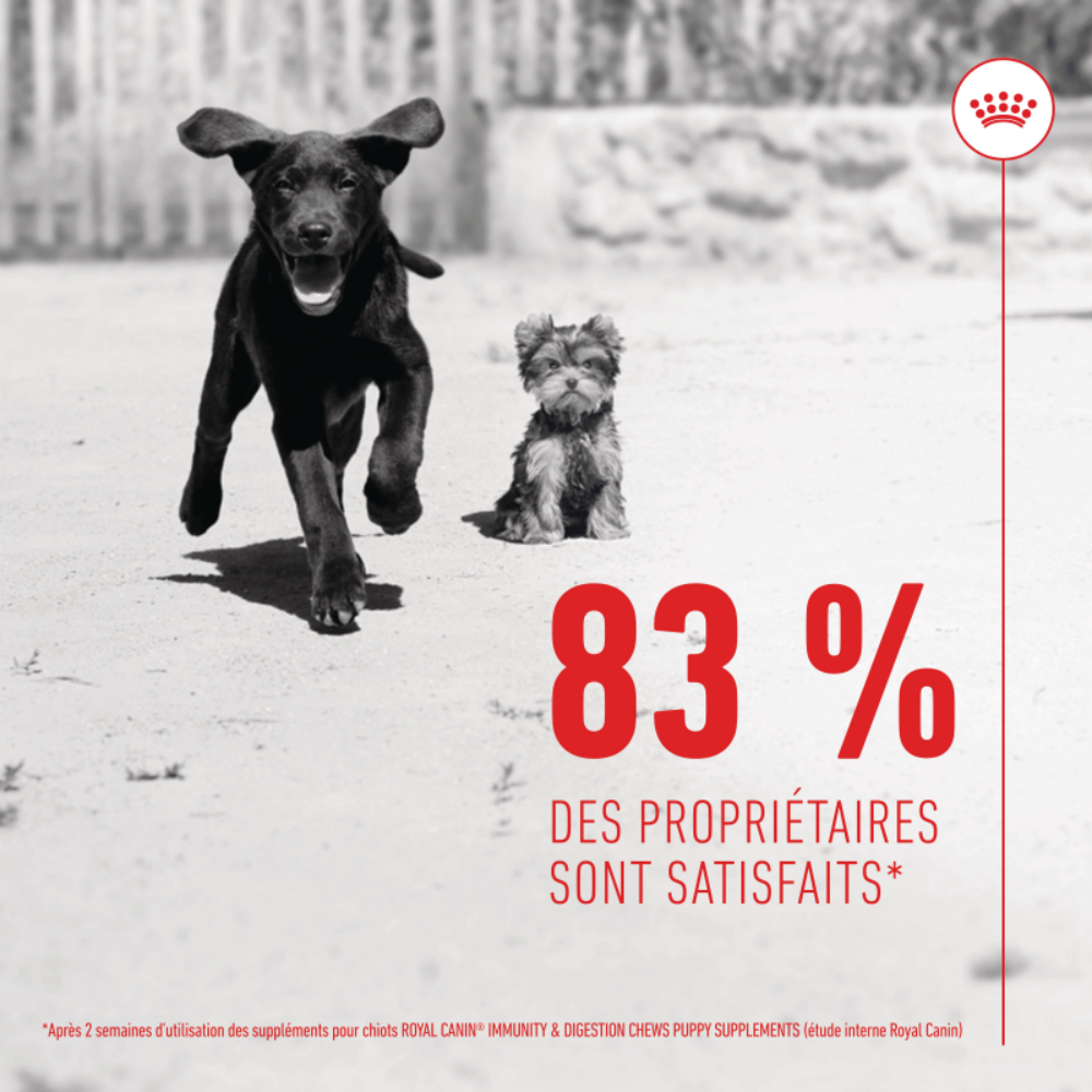 Friandises Immunité & Digestion Soft Chew – Complément pour chien/chiot