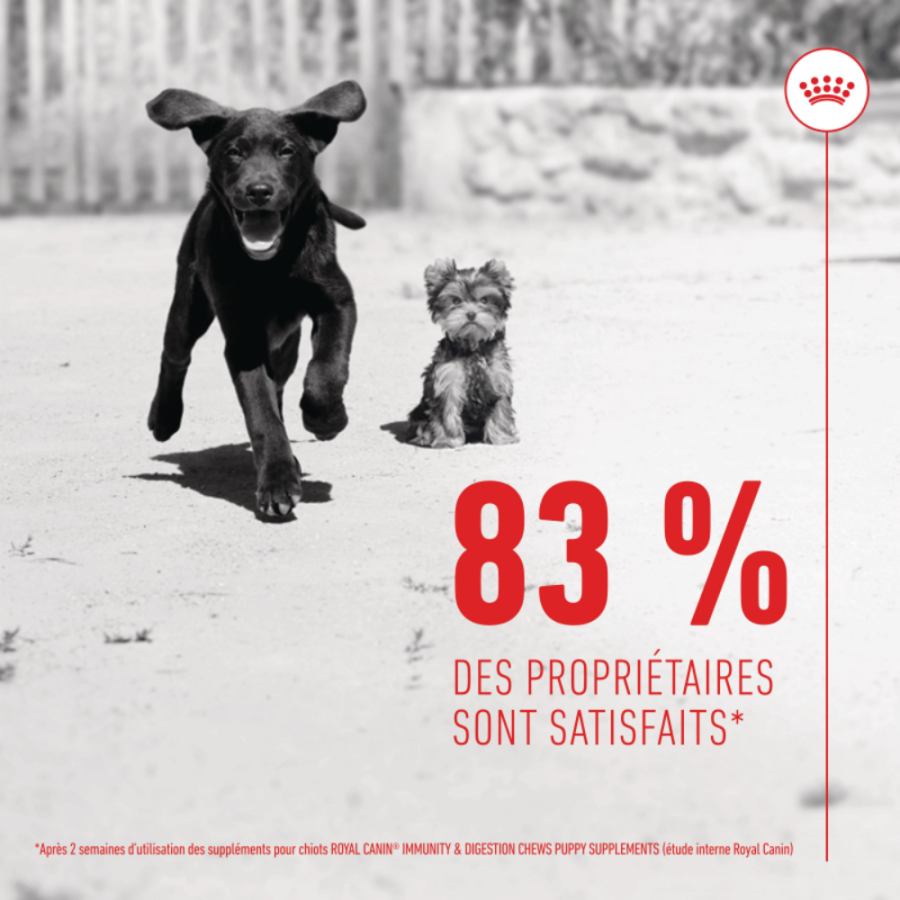Friandises Immunité & Digestion Soft Chew – Complément pour chien/chiot