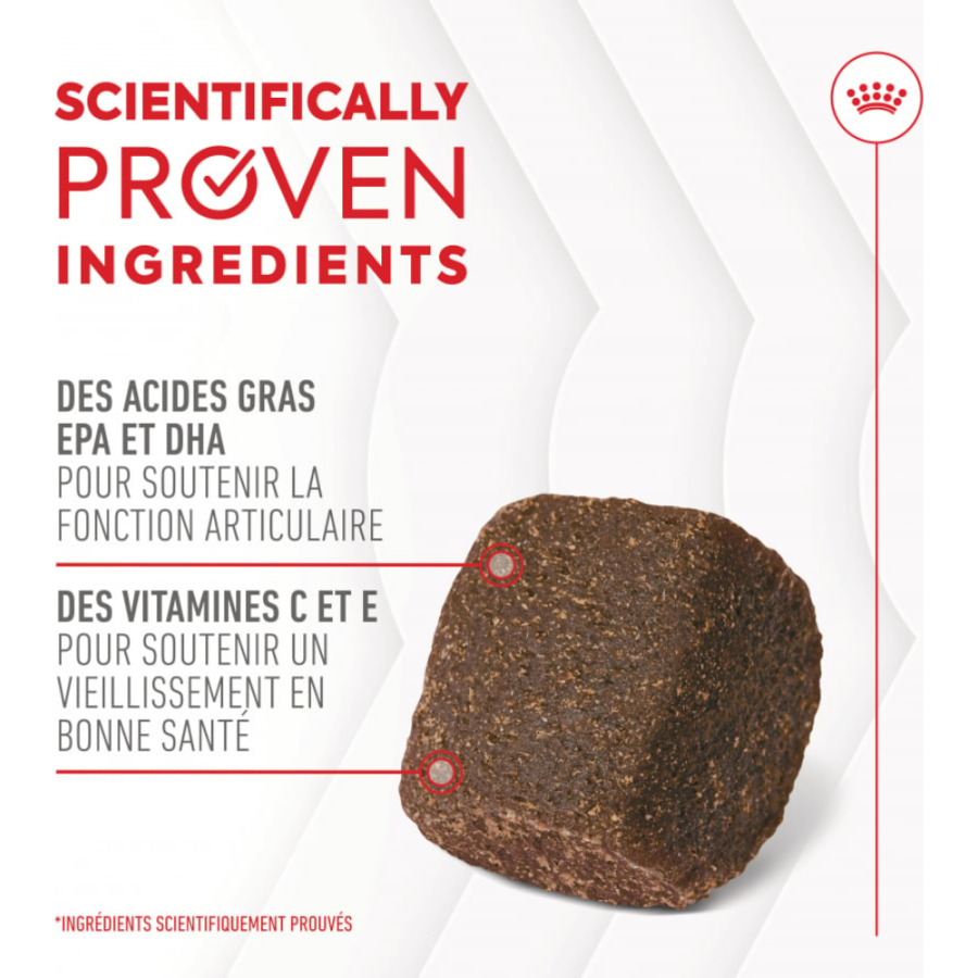 Friandises articulation et vieillissement Soft Chew – Complément pour chien