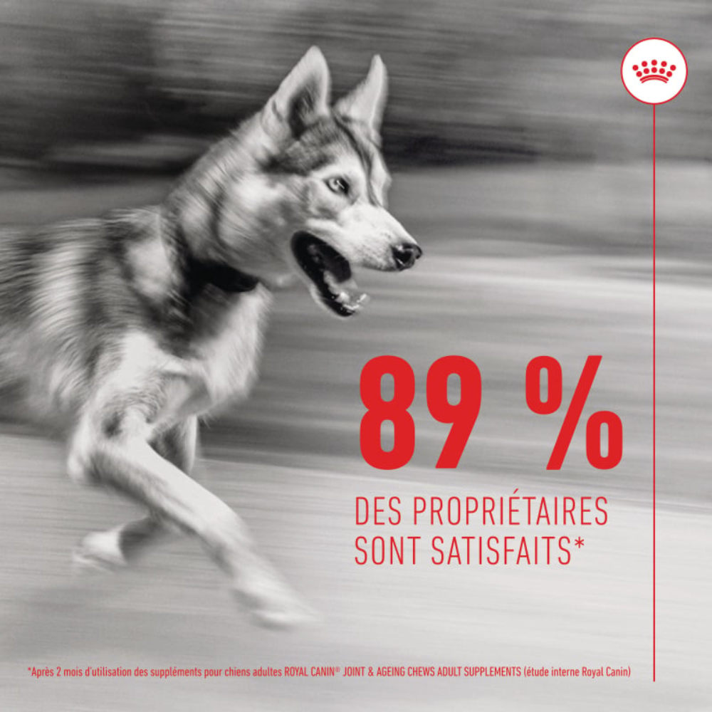 Friandises articulation et vieillissement Soft Chew – Complément pour chien