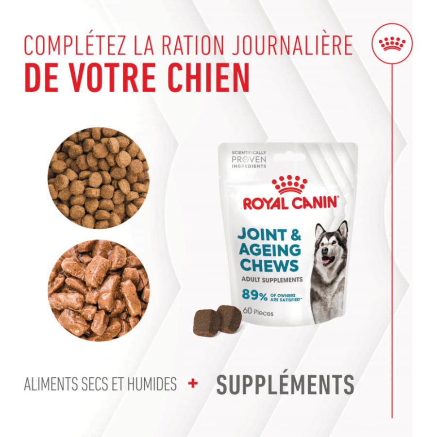 Friandises articulation et vieillissement Soft Chew – Complément pour chien