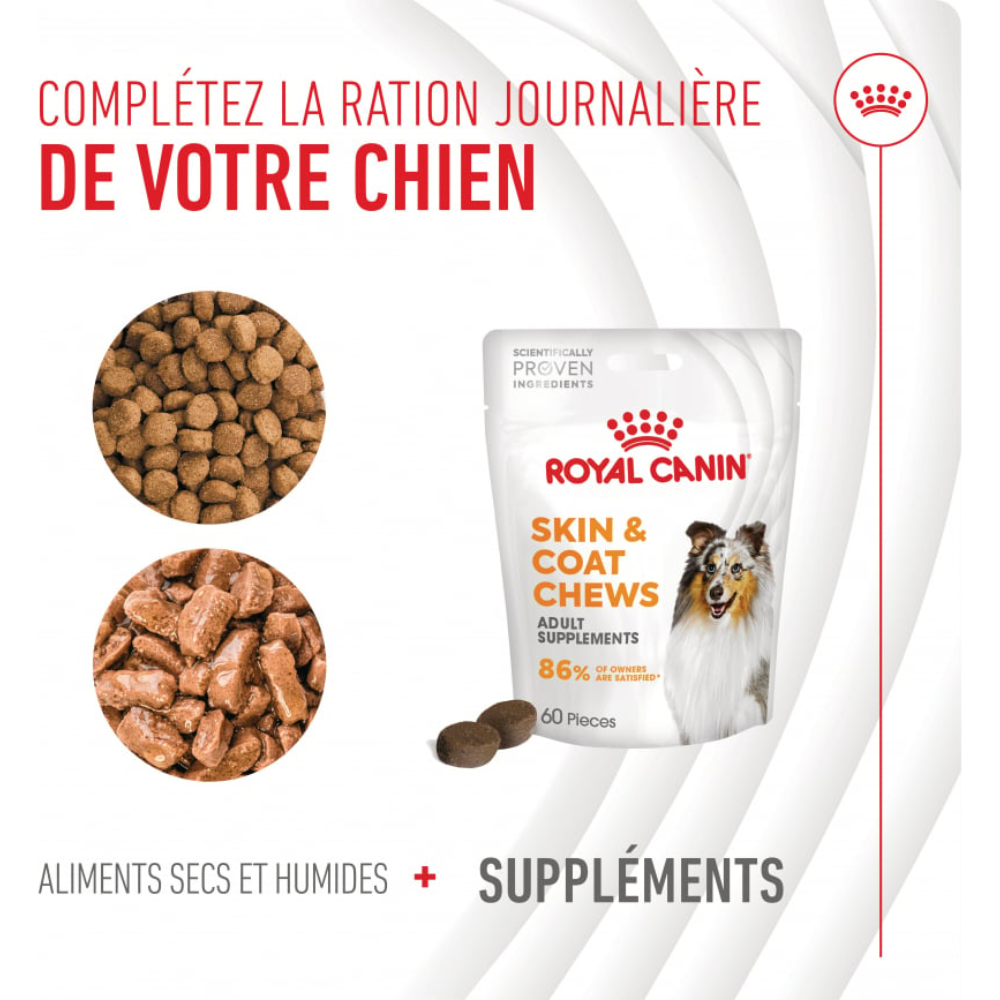 Friandises Skin & Coat Chews – Supplément peau & pelage pour chien adulte