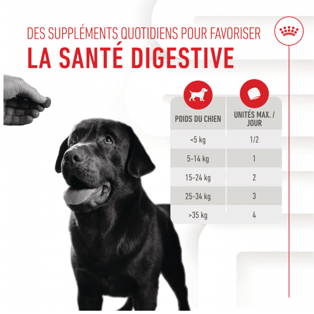 Friandises Digestion Chews – Complément digestion & microbiote pour chien adulte