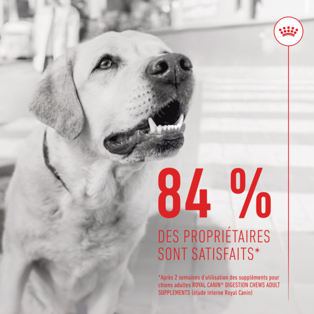 Friandises Digestion Chews – Complément digestion & microbiote pour chien adulte
