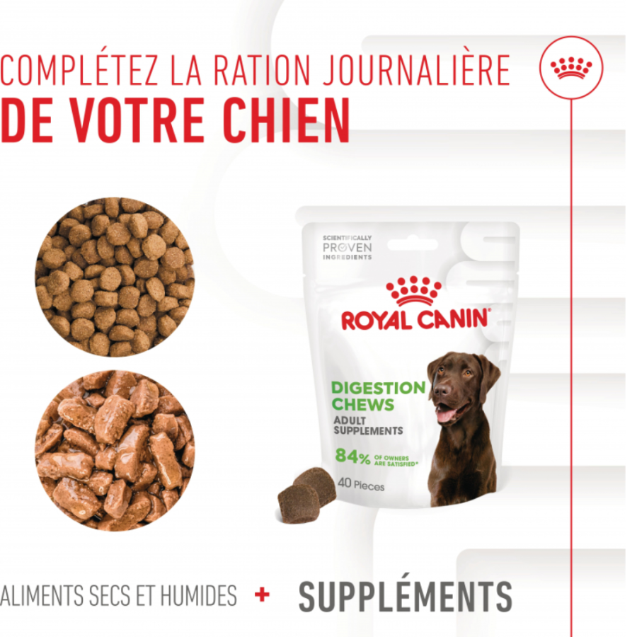 Friandises Digestion Chews – Complément digestion & microbiote pour chien adulte
