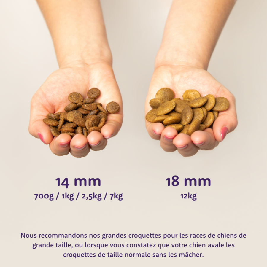 Croquettes pour chien senior sans céréales Poulet & Saumon