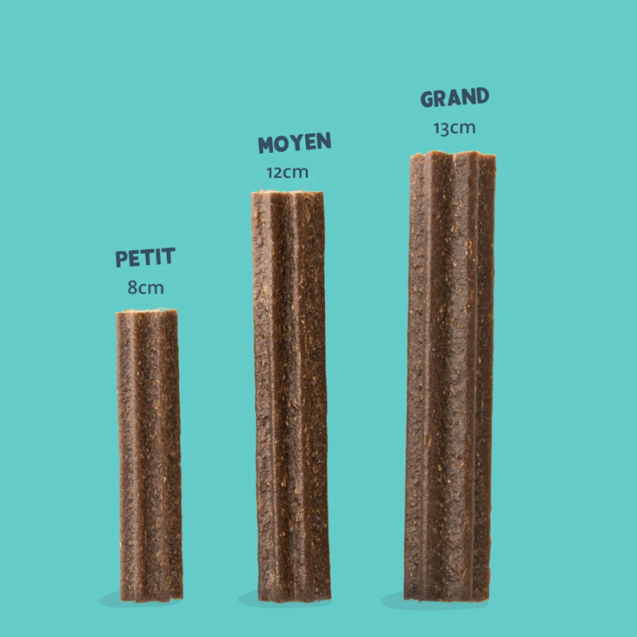 Stick dentaire Mâch’Sticks Menthe & Fraise