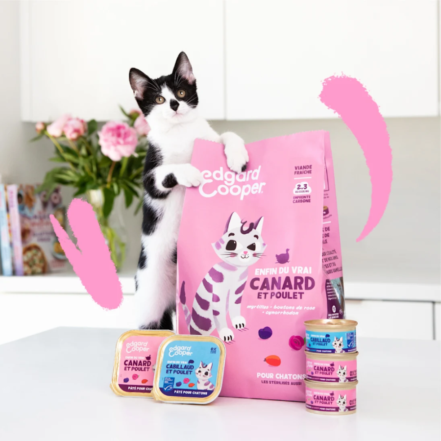 Croquettes pour Chaton – Canard & Poulet sans céréales