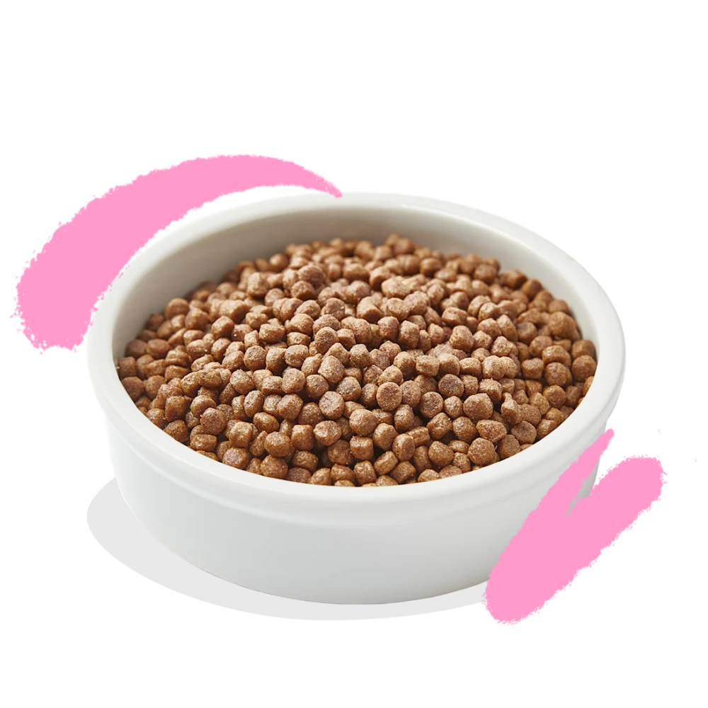 Croquettes pour Chaton – Canard & Poulet sans céréales