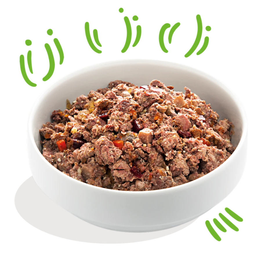 Patée Bœuf Bio Sans Céréales pour chien