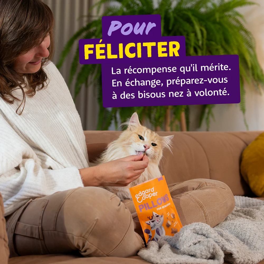 Friandises Fourrés au Poulet pour chat sans céréales