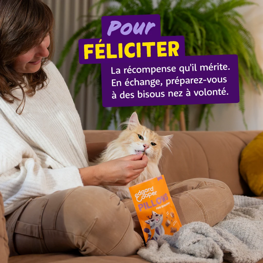 Friandises Fourrés au Poulet pour chat sans céréales