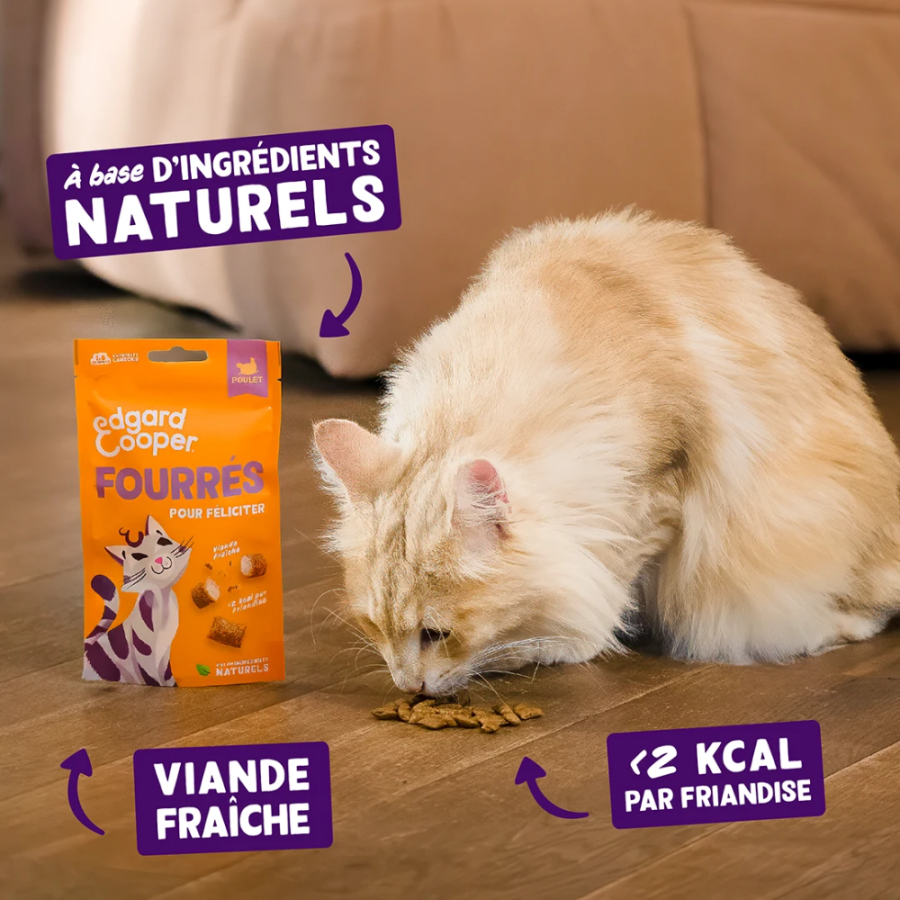Friandises Fourrés au Poulet pour chat sans céréales