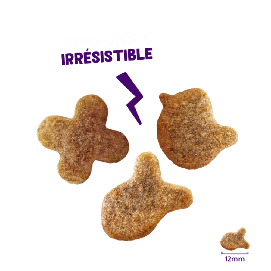 Friandises sans céréales Crunchies au Saumon pour chat