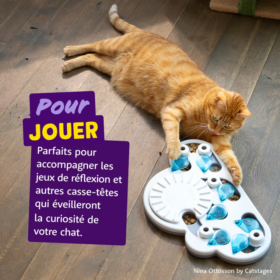 Friandises sans céréales Crunchies au Saumon pour chat