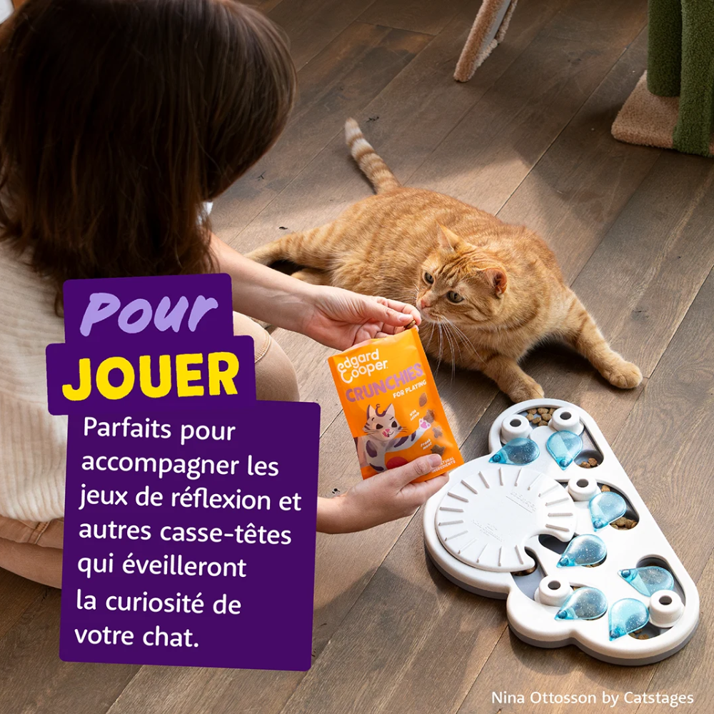 Friandises sans céréales Crunchies au Poulet pour chat