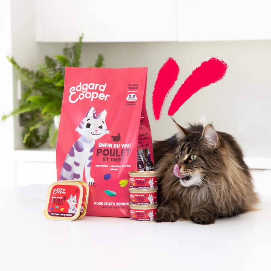 Pâtée pour chat sénior sans céréales poulet et dinde