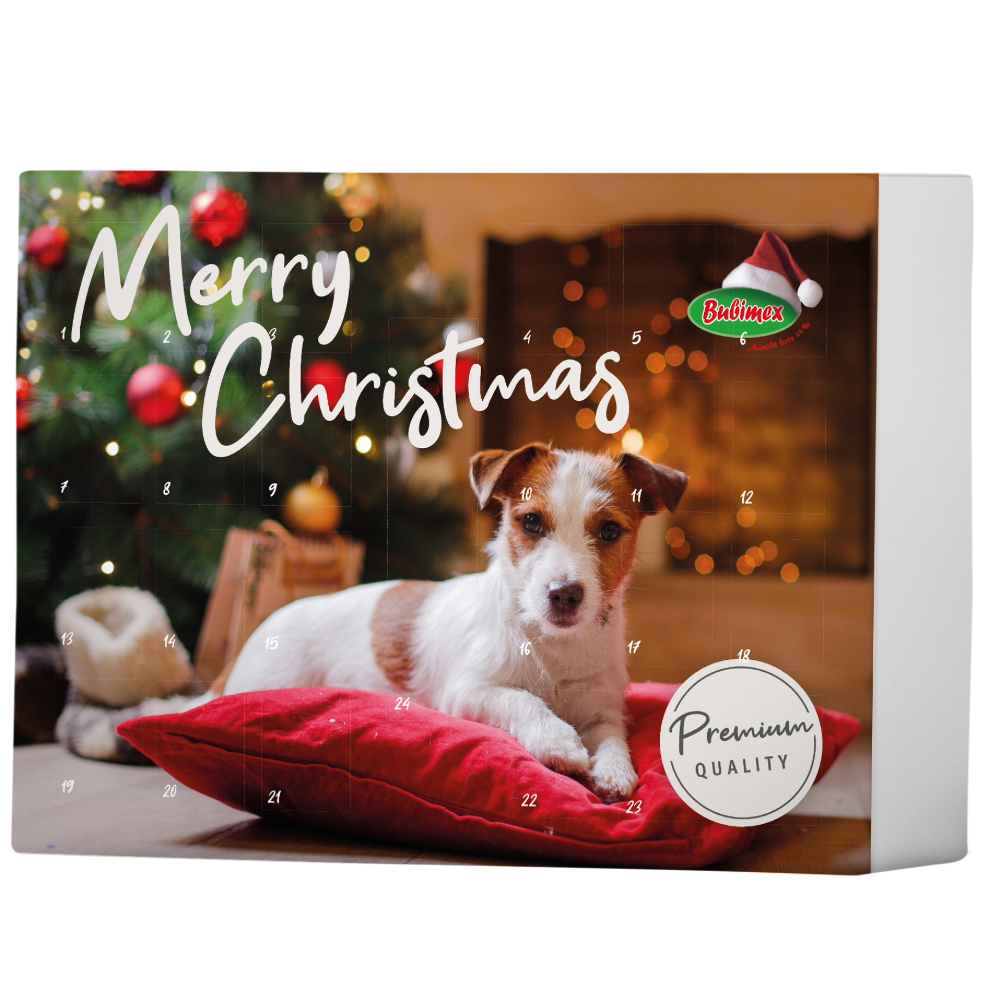 Calendrier de l’Avent premium pour chien 2025
