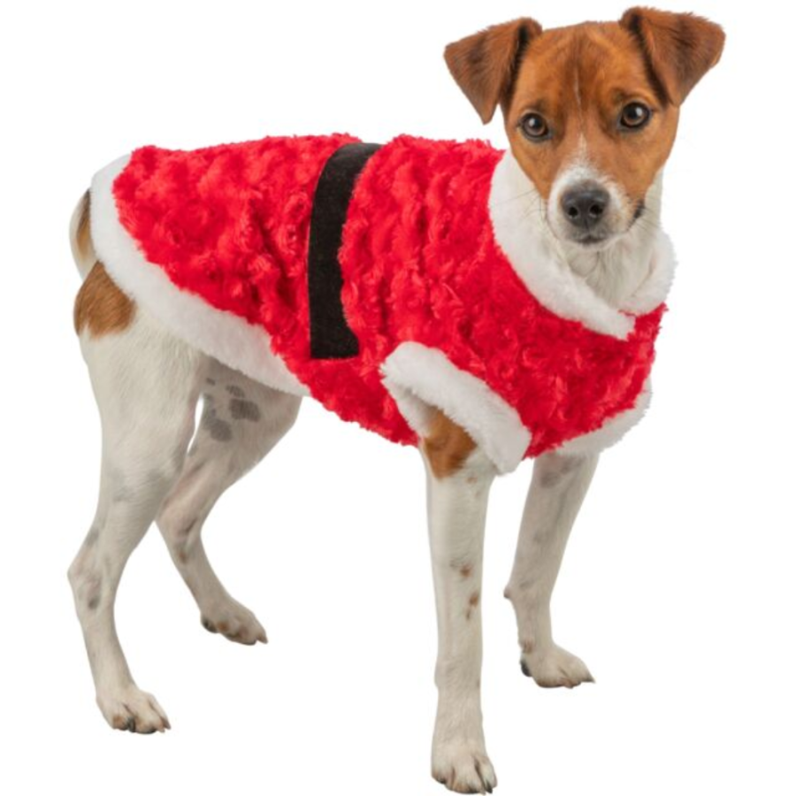 Manteau de Noël pour chien