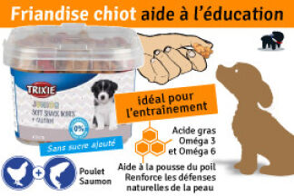Comment éduquer un chiot à la friandise ?