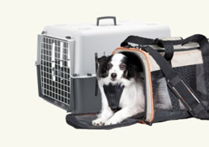 cage et sac de transport chien