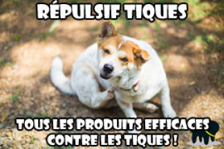 Répulsif tique, produit efficace contre les tiques !