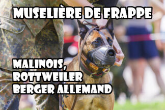 Muselière de frappe Malinois, Rottweiler, Berger Allemand 