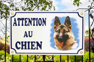 Plaque Attention au chien : assurance et obligation